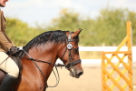 SBM_04839