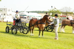 SBM_00336