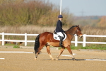 SBM_002985