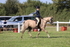 JPP_1586