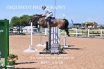 BPP_1598