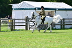 SBM_03775