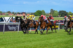 120526-Race 4-Dandy Dinmont-8269