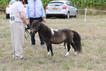 WJ6_5664