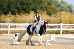 SBM_008434