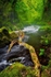 River Capture
