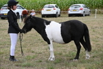 WJ6_5526