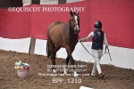 BPP_1310