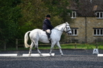 WJ5_8945
