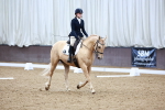 Class 5 - Novice 2 portfolio