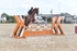 BPP_0494