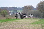 WJ7_9576