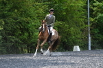 WJ5_9976