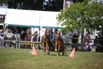 SBM_15329