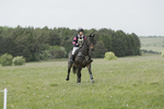 BVHT 140517  NXC -161