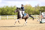 SBM_003283
