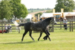 SBM_00728