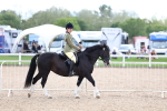 SBM_15751