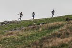 Latterbarrow-106