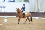 SBM_003833