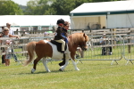 SBM_05405