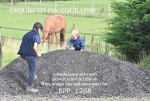 BPP_1268