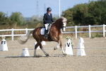 SBM_020259