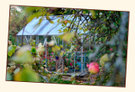 Kibuvitsi's Garden 1