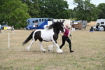WJ6_5366