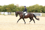 SBM_002356