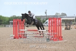 BPP_7310