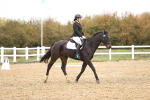 SBM_001920