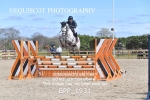 18-20TH APRIL 2025 - Senior British Show Jumping 3 Day Show Incl. RHS Qual. - MUIRMILL EC portfolio