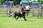 SBM_03693
