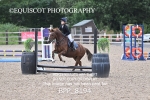 BPP_8194