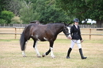 WJ6_4550