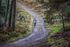 Glentress 21  10K-2149