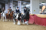SBM_14876