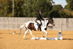 SBM_28177