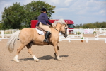 SBM_04038