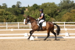 SBM_003766