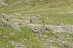 Duddon Long-412