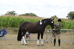 WJ6_6258