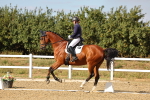 SBM_007504