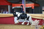 SBM_20413