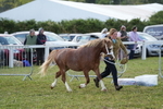 DSC05461