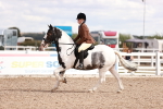 SBM_14478