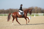 SBM_008562