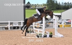 BPP_4965