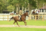 SBM_69893